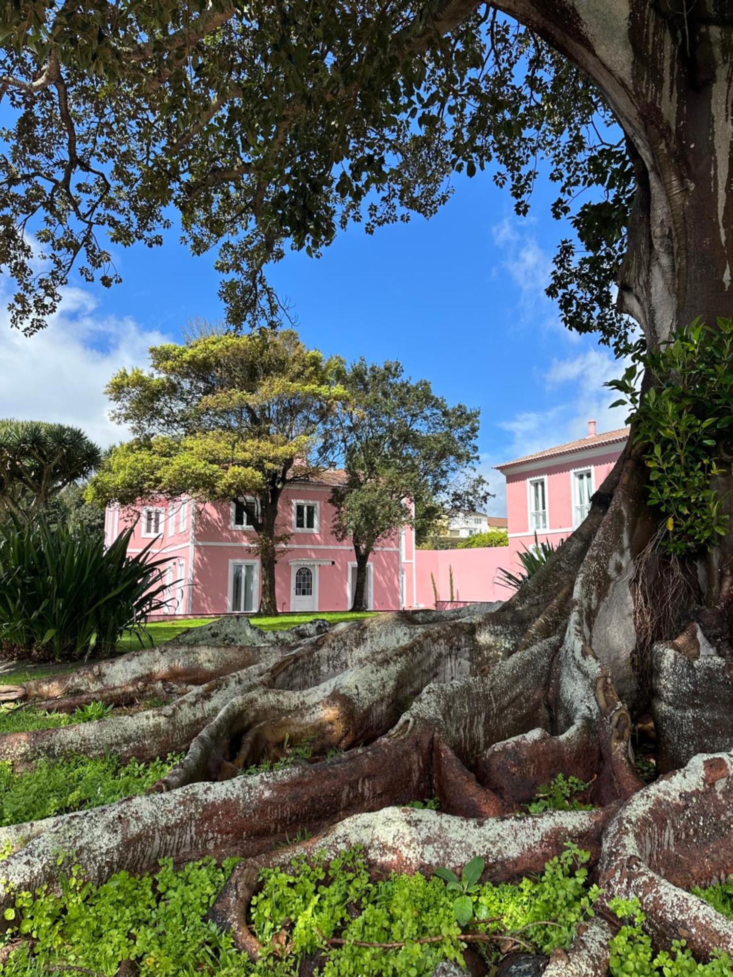 Solar Dos Cantos Botanic House & Garden Ponta Delgada  Bagian luar foto