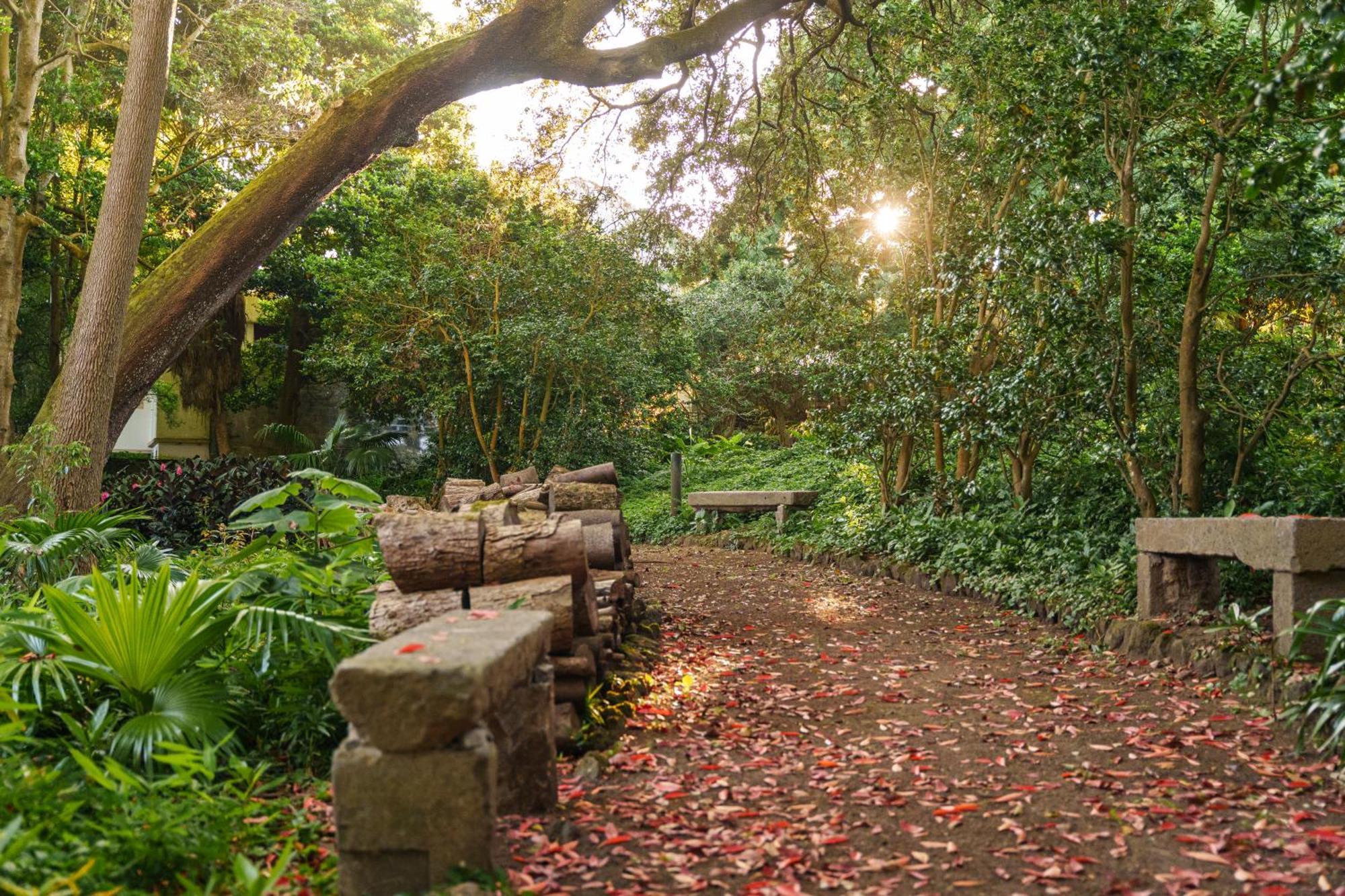Solar Dos Cantos Botanic House & Garden Ponta Delgada  Bagian luar foto